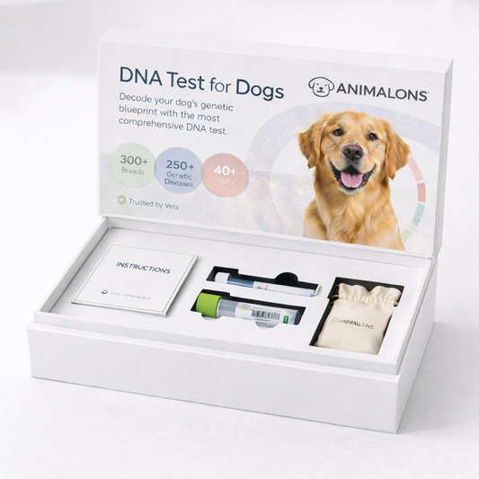 Breed Health Dog DNA Test