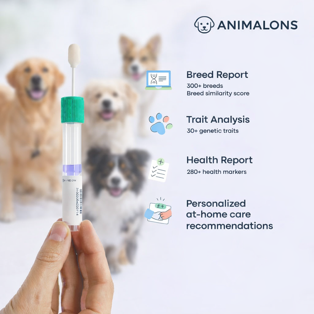 Breed Health Dog DNA Test