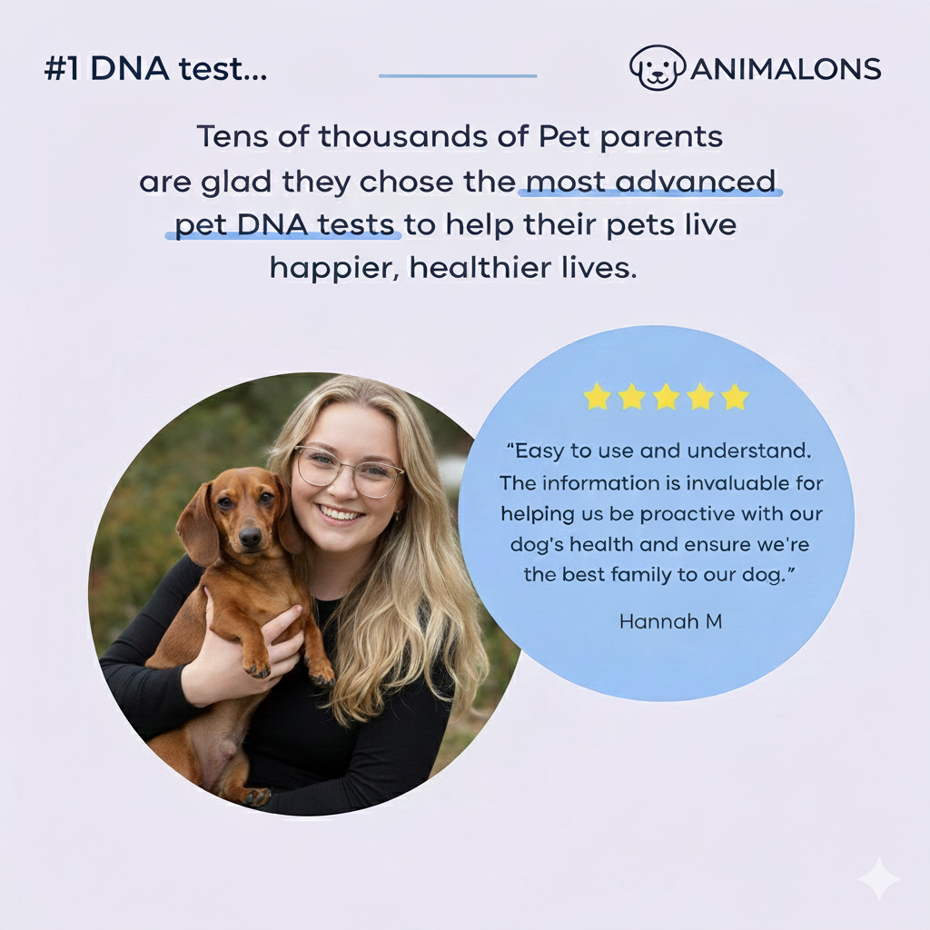Breed Health Dog DNA Test